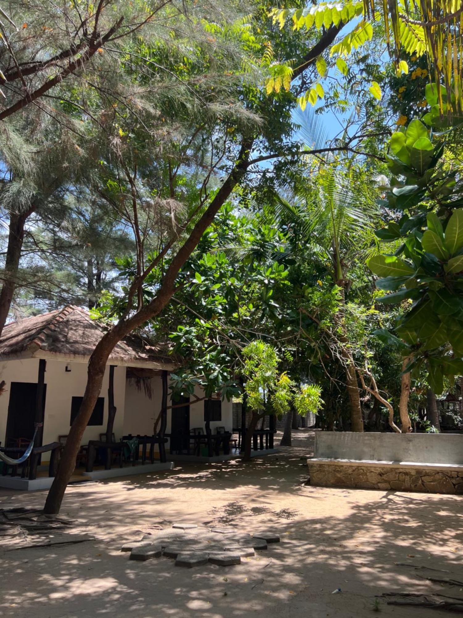 Sand Dune Beach Resort & Surf Camp Arugam Bay Εξωτερικό φωτογραφία
